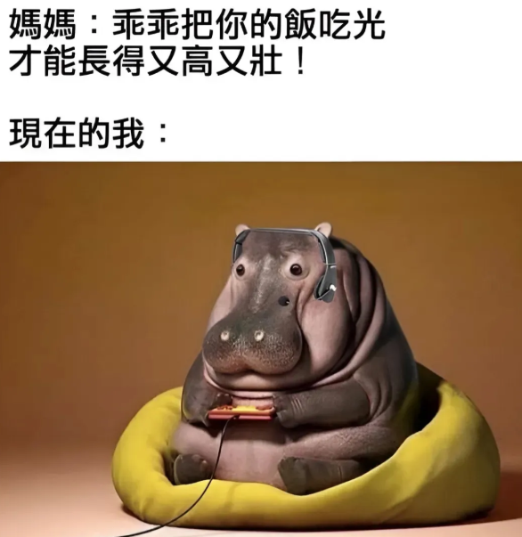 用户投稿