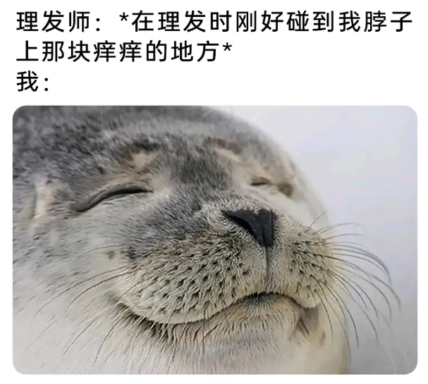 用户投稿