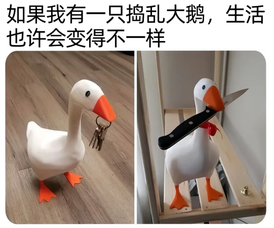 用户投稿