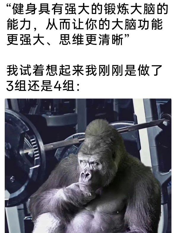 用户投稿