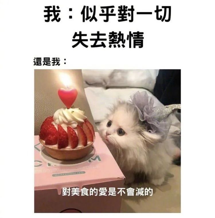 用户投稿