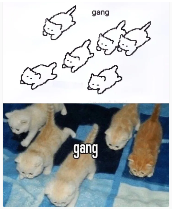 用户投稿