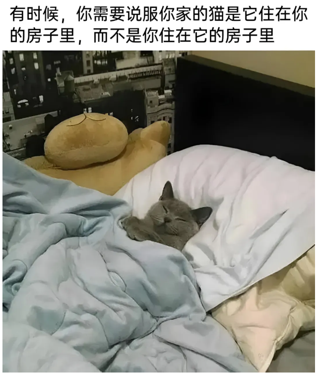 用户投稿