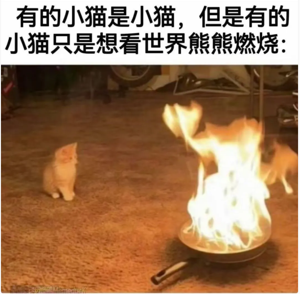 用户投稿
