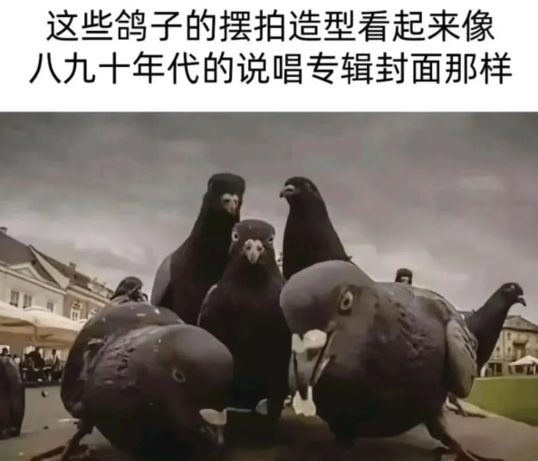 用户投稿