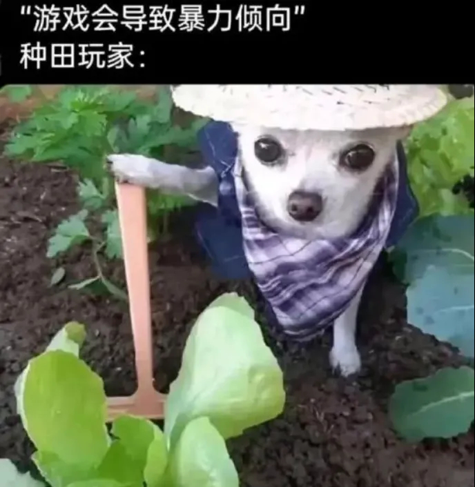 用户投稿