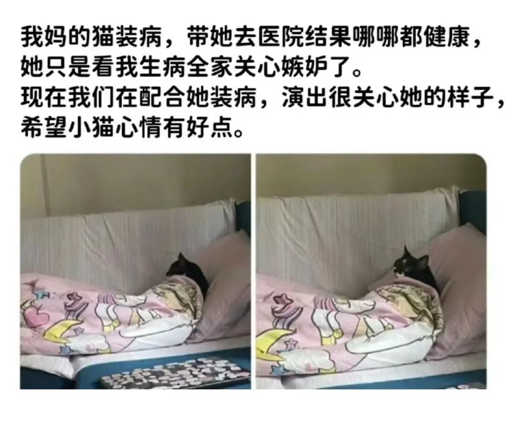 用户投稿