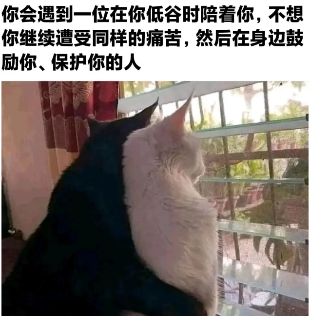 用户投稿