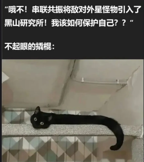 用户投稿