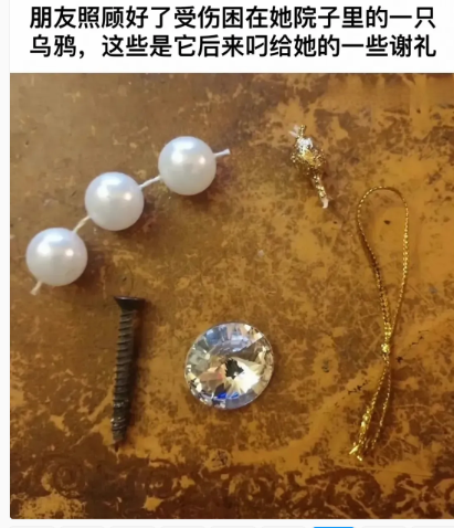用户投稿