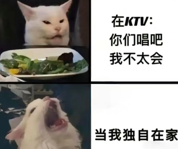 用户投稿