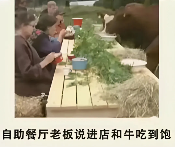 用户投稿