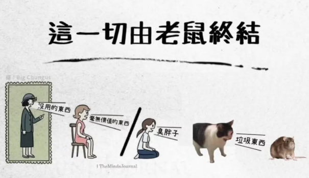 用户投稿
