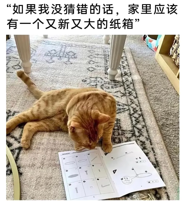 用户投稿