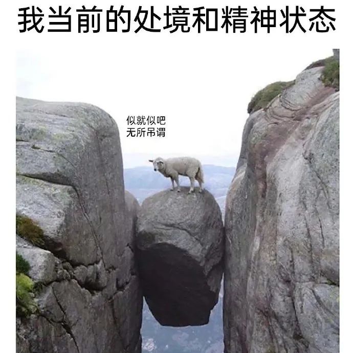 用户投稿