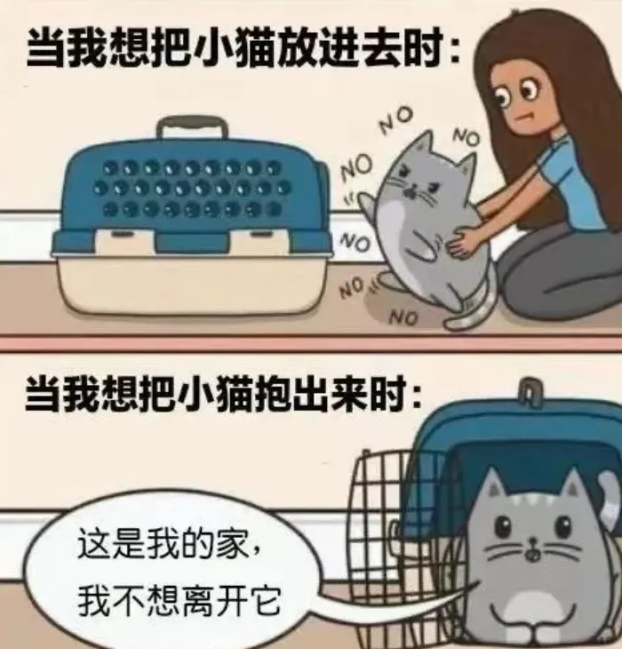 用户投稿