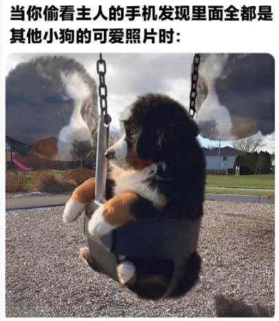 用户投稿