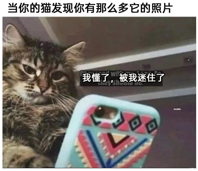 用户投稿