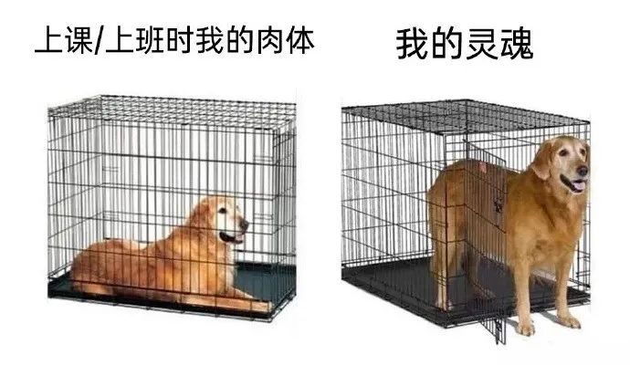 用户投稿