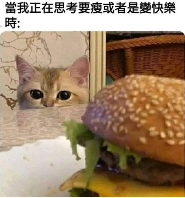 用户投稿