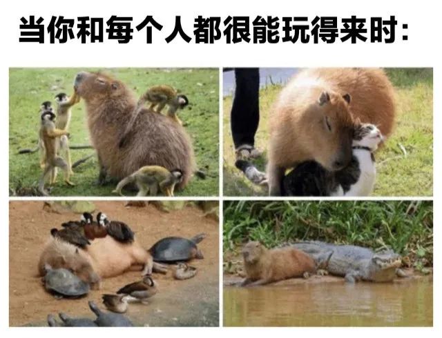 用户投稿