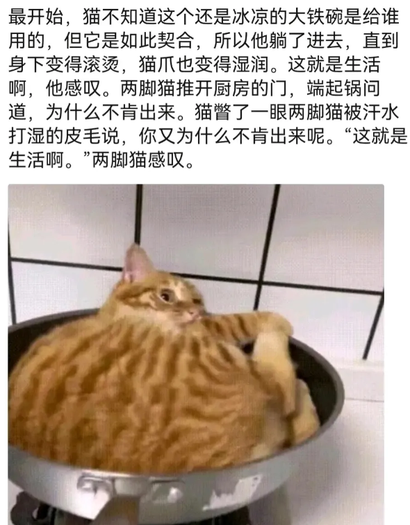 用户投稿