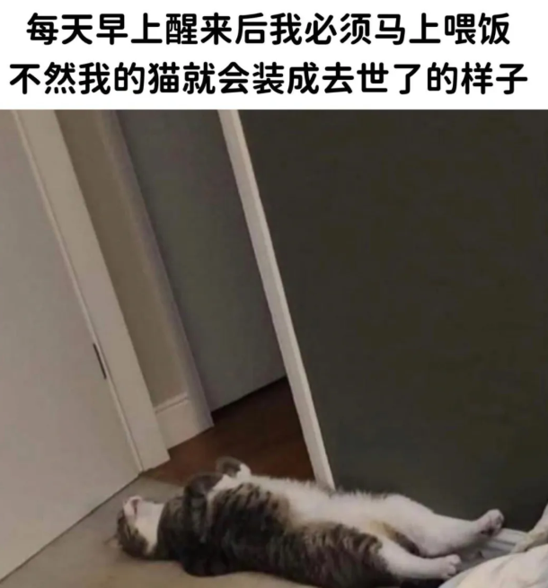 用户投稿