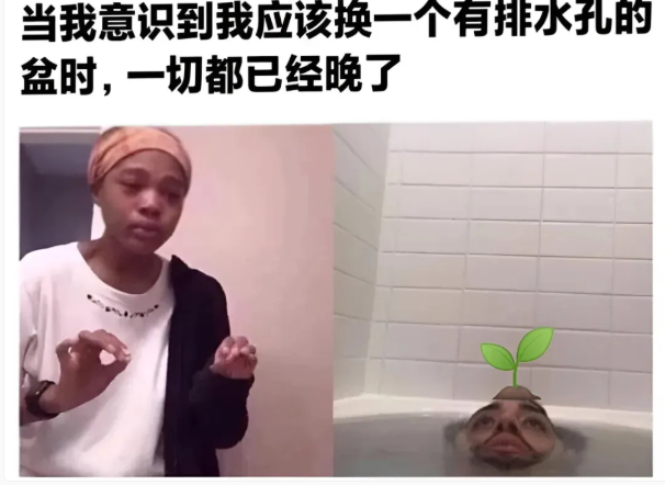 用户投稿