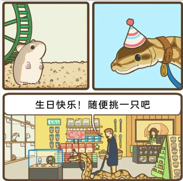 用户投稿