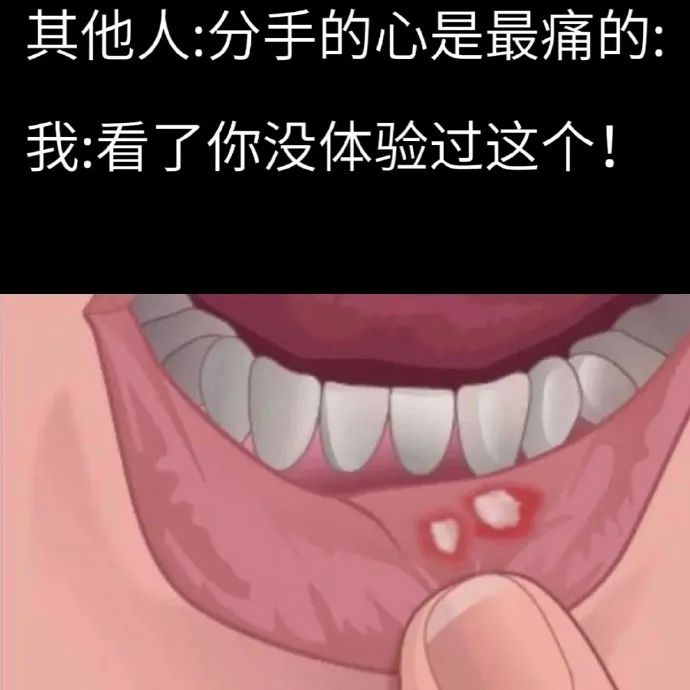 用户投稿