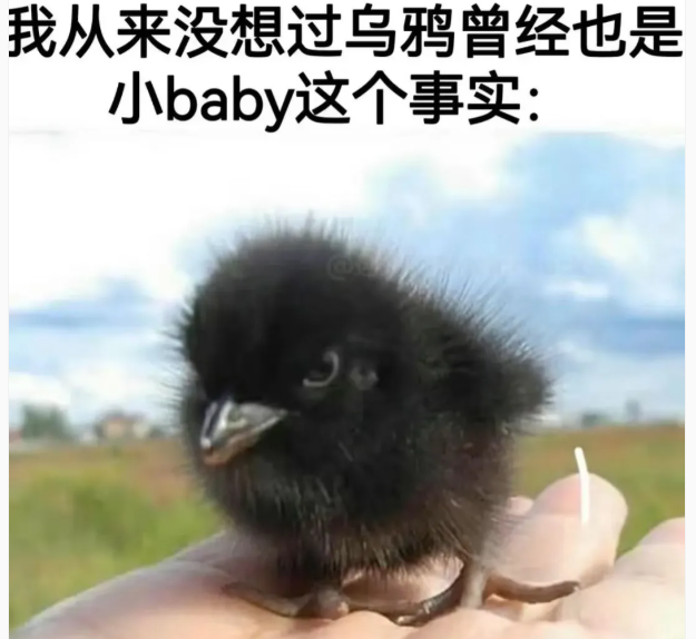 用户投稿