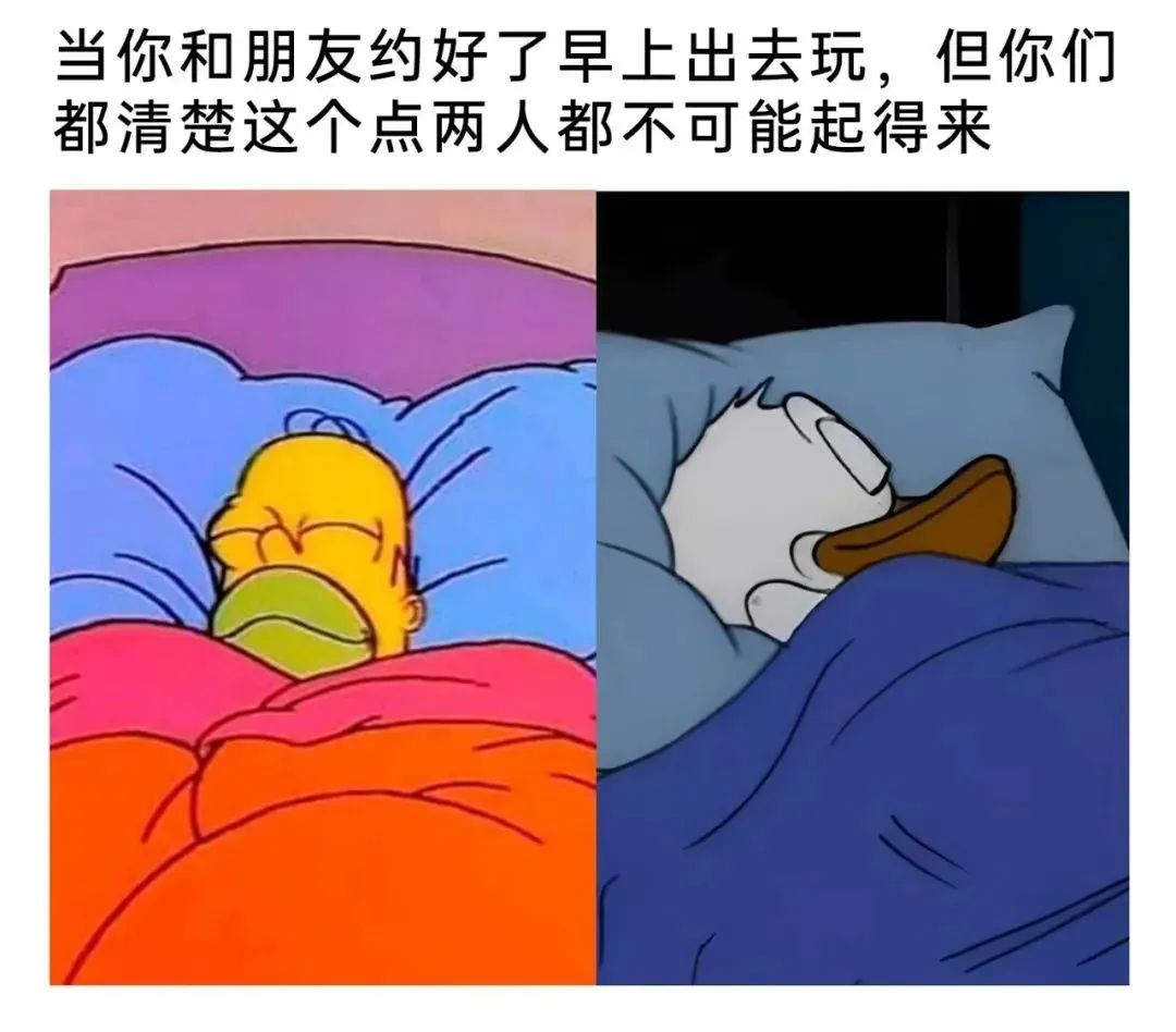 用户投稿
