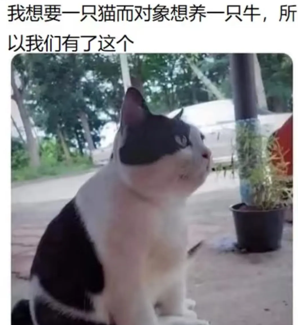 用户投稿