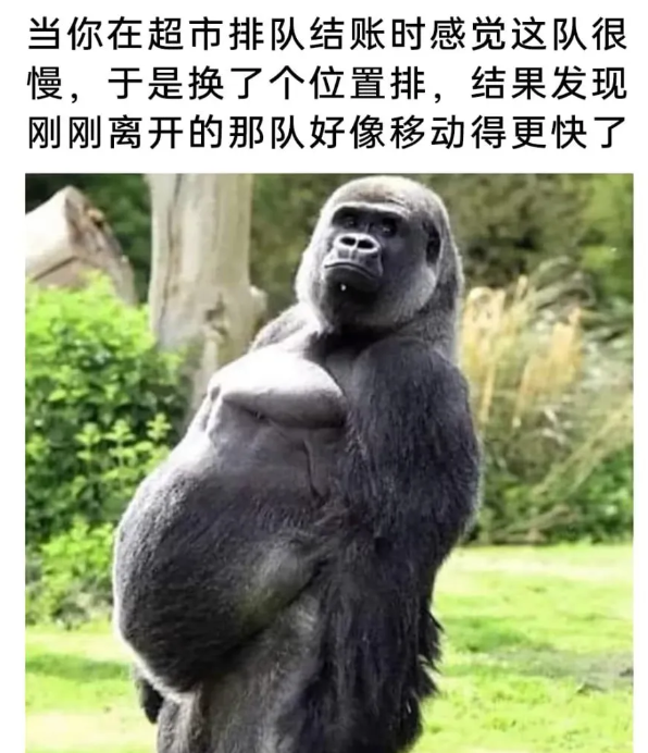 用户投稿