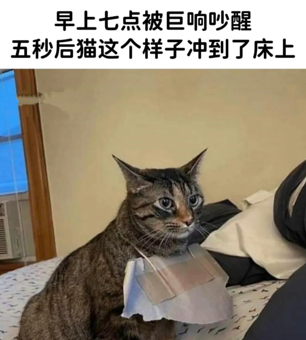 用户投稿