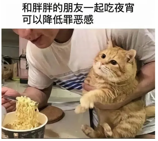 用户投稿