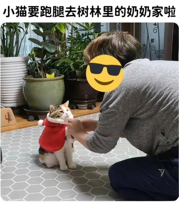 用户投稿